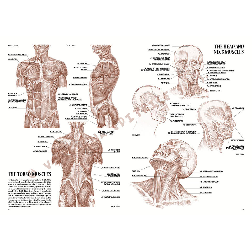-  din categoria , potrivit pentru uz profesional si hobby, disponibil online cu livrare rapida