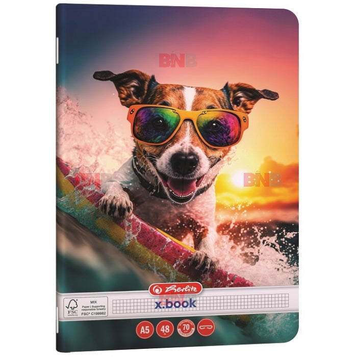 Caiet A5, 48 file, matematica, Cool Dog, div. modele Herlitz