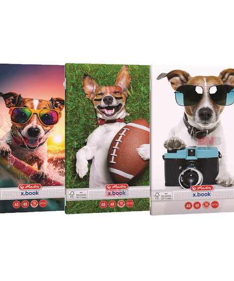 Caiet A5, 48 file, matematica, Cool Dog, div. modele Herlitz
