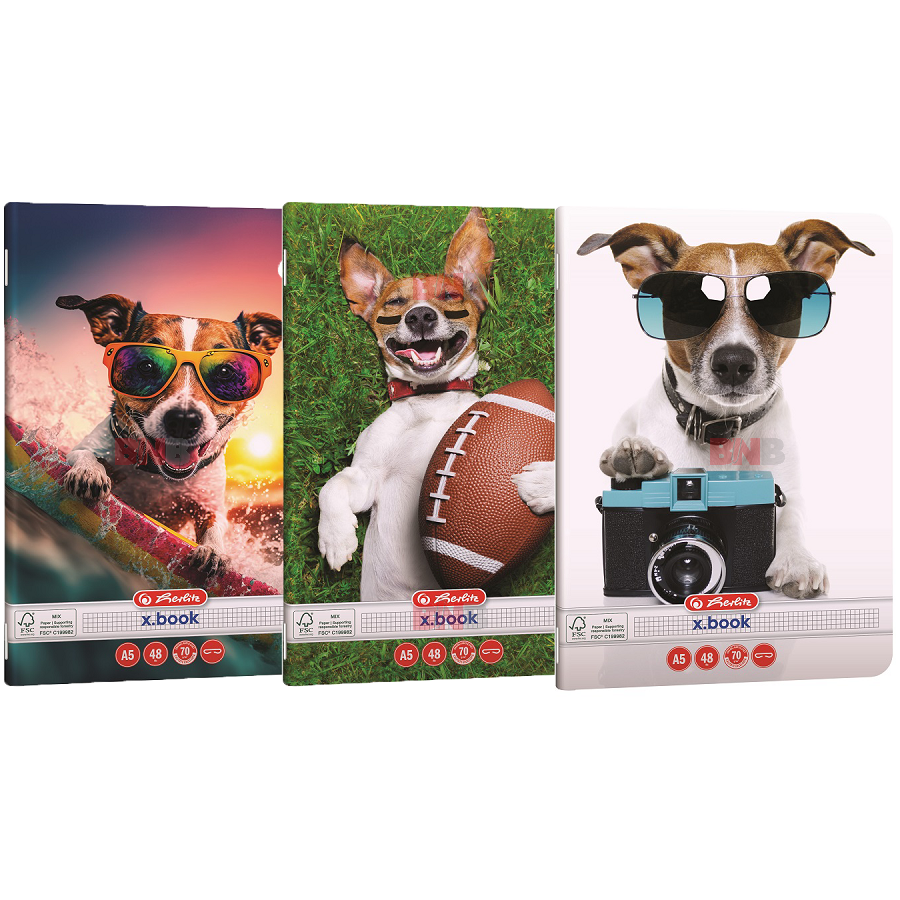 Caiet A5, 48 file, matematica, Cool Dog, div. modele Herlitz