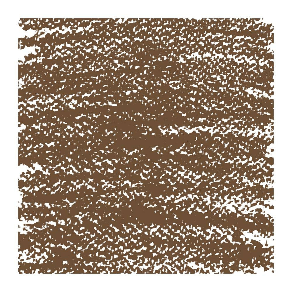 Pastel gras Van Gogh Oil - Vandyke brown -  din categoria , recomandat pentru desen si activitati creative, calitate premium pentru rezultate excelente