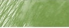 Creioane colorate acuarelabile A. Durer Faber Castell - juniper green -  din categoria , ideal pentru scoala si teme zilnice, alegere inspirata pentru papetarie moderna