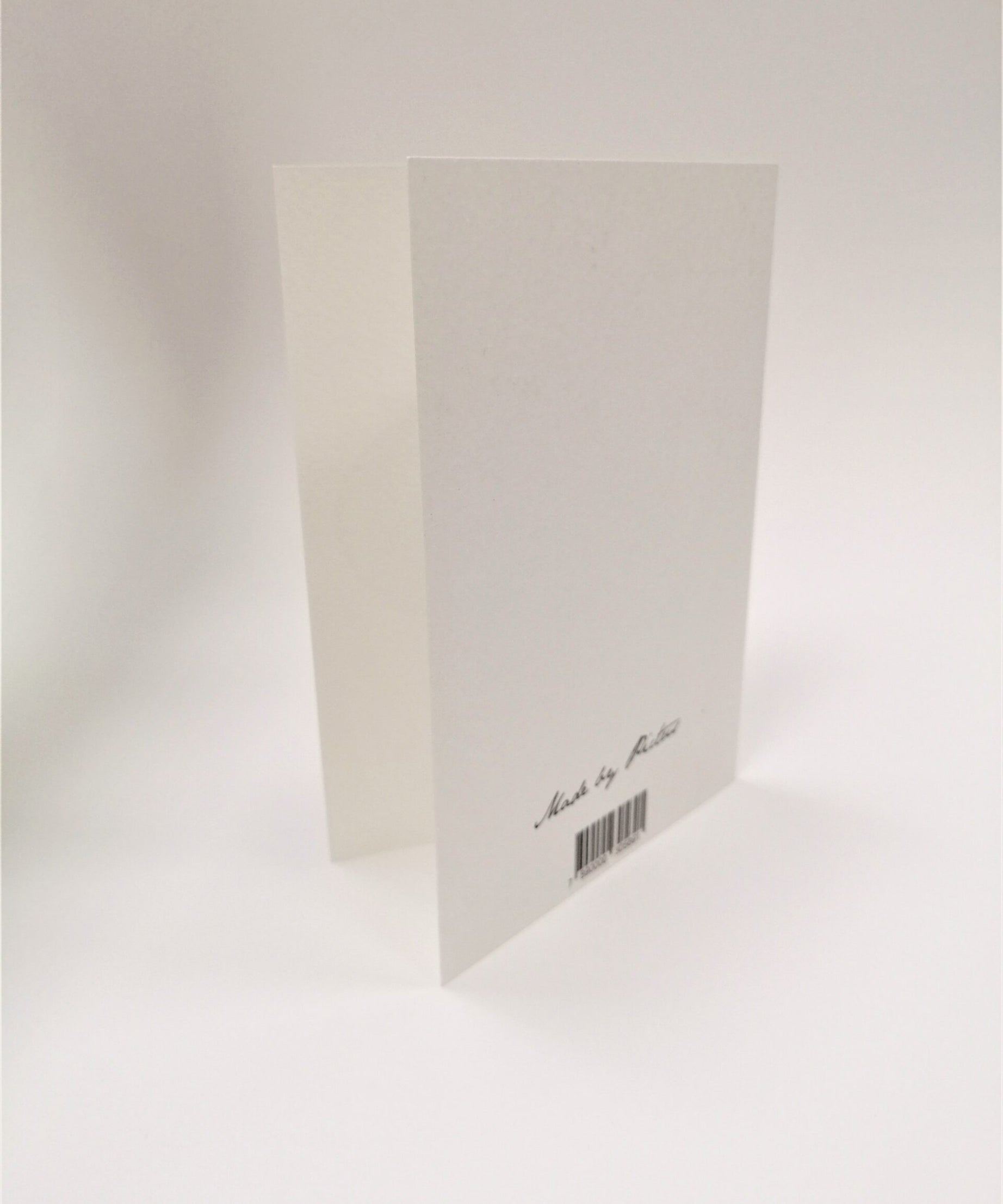 felicitare printata pictus