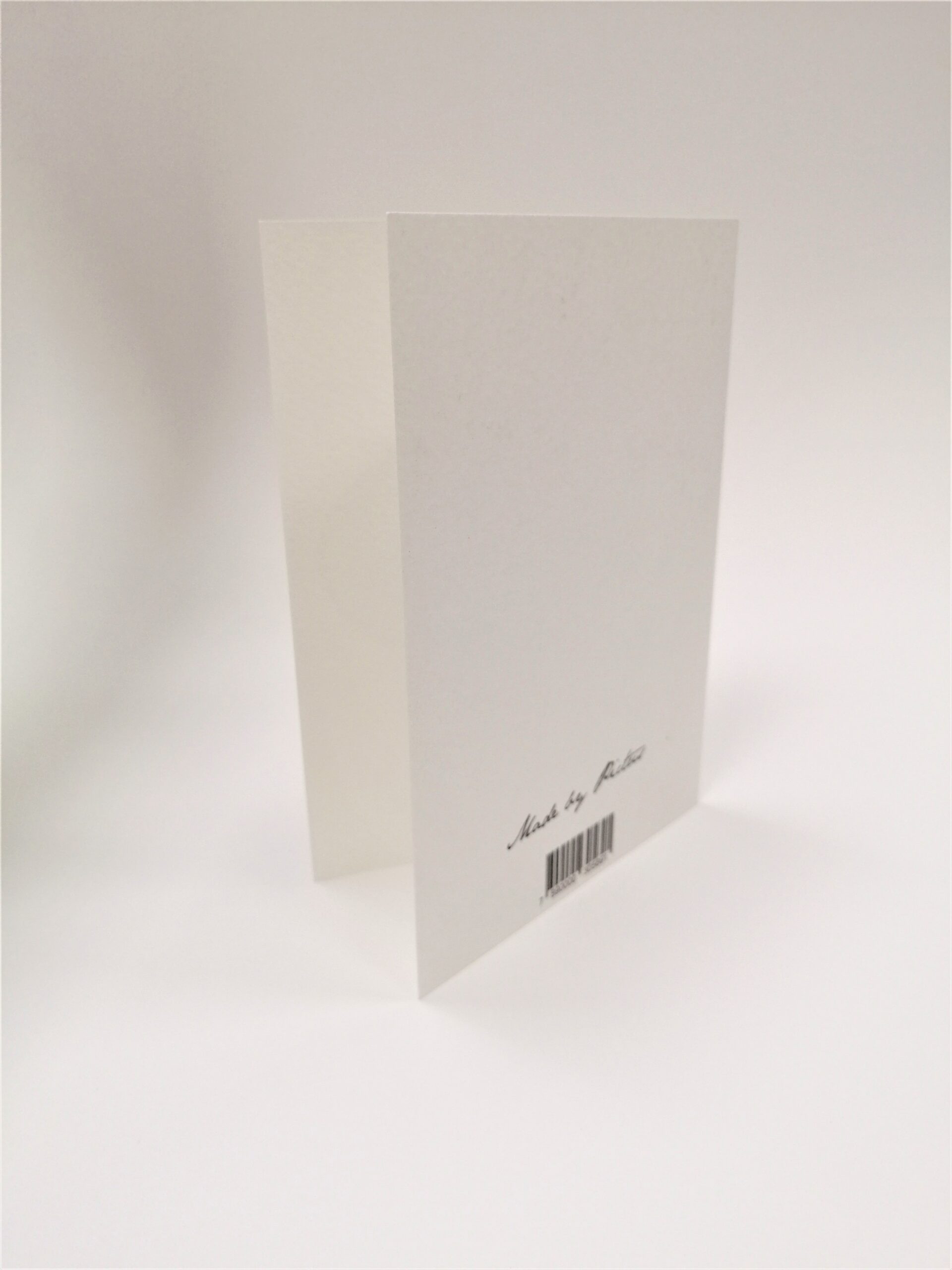 felicitare printata pictus