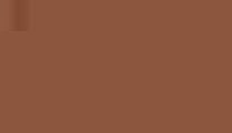 Marker acuarelabil Tombow Dual Brush - Burnt Sienna -  din categoria , perfect pentru birou si organizare eficienta, calitate premium pentru rezultate excelente