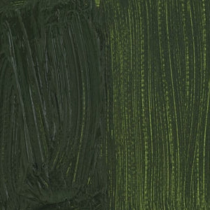 Culori ulei Sennelier Rive Gauche 40ml - Golden Green -  din categoria , excelent pentru proiecte artistice si craft, produs original disponibil din stoc