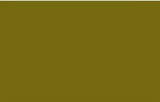 Spray vopsea MTN 94 Dragon Green 400ml -  din categoria , excelent pentru proiecte artistice si craft, disponibil online cu livrare rapida