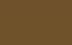 Spray vopsea MTN 94 Sequoia Brown 400ml -  din categoria , excelent pentru proiecte artistice si craft, produs original disponibil din stoc