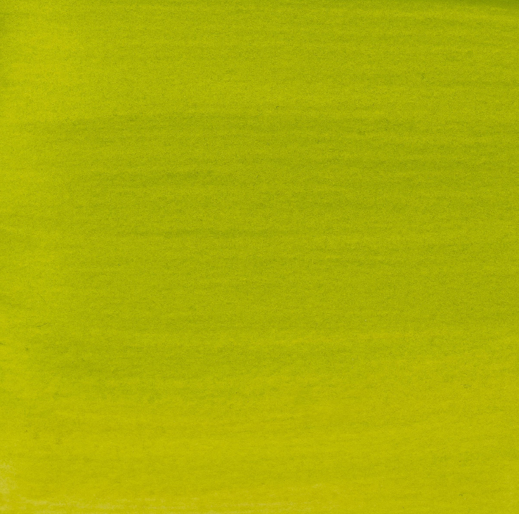 Tus acrilic Amsterdam Ink - Olive green D -  din categoria , excelent pentru proiecte artistice si craft, calitate premium pentru rezultate excelente
