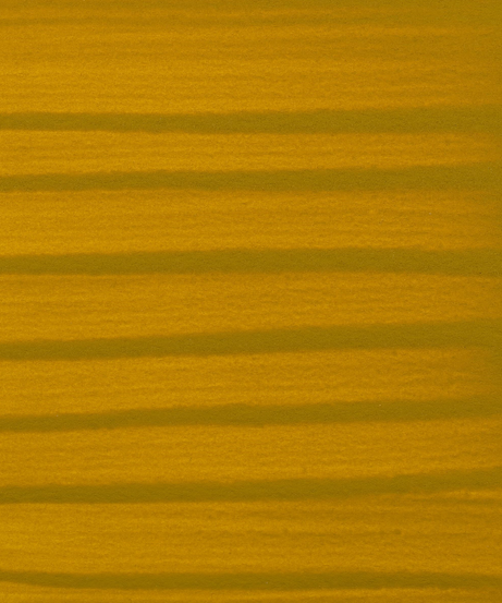 Tus acrilic Amsterdam Ink - Raw sienna -  din categoria , util pentru elevi, studenti si profesori, pret avantajos in magazin online
