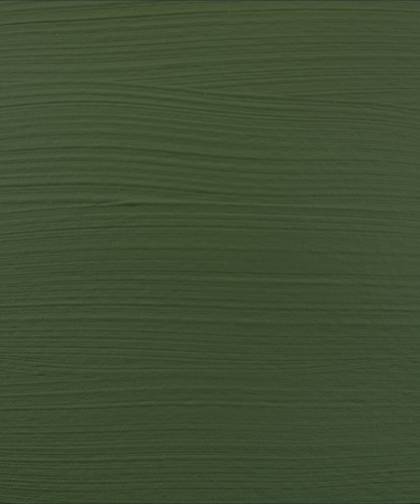 Culori acrilice Amsterdam - Sap green 20ml -  din categoria , recomandat pentru desen si activitati creative, alegere inspirata pentru papetarie moderna
