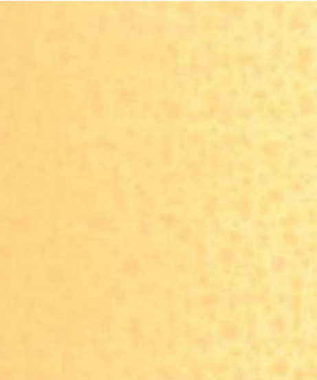 Culori ulei Van Gogh - Naples yellow red 200ml -  din categoria , excelent pentru proiecte artistice si craft, pret avantajos in magazin online