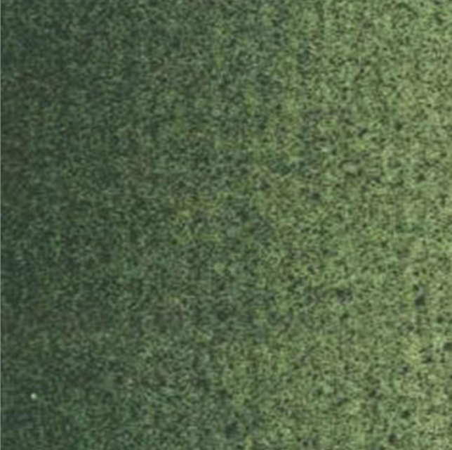 Culori ulei Van Gogh - Permanent green medium 40ml -  din categoria , potrivit pentru uz profesional si hobby, disponibil online cu livrare rapida