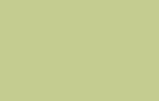 Vopsea spray pt. graffiti MTN Hardcore - Apple Green -  din categoria , potrivit pentru uz profesional si hobby, calitate premium pentru rezultate excelente