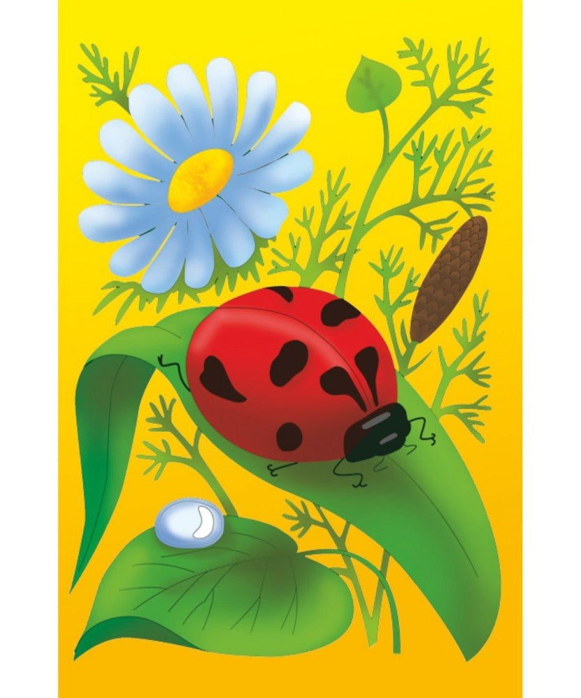 carton preedsenat buburuza