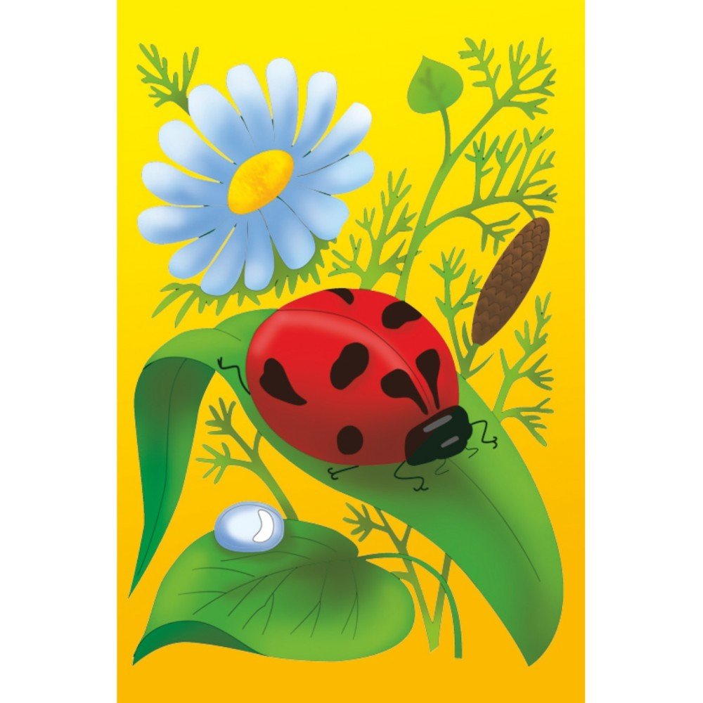 carton preedsenat buburuza