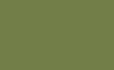 Vopsea spray pt. graffiti MTN Hardcore - Olive Green -  din categoria , util pentru elevi, studenti si profesori, calitate premium pentru rezultate excelente