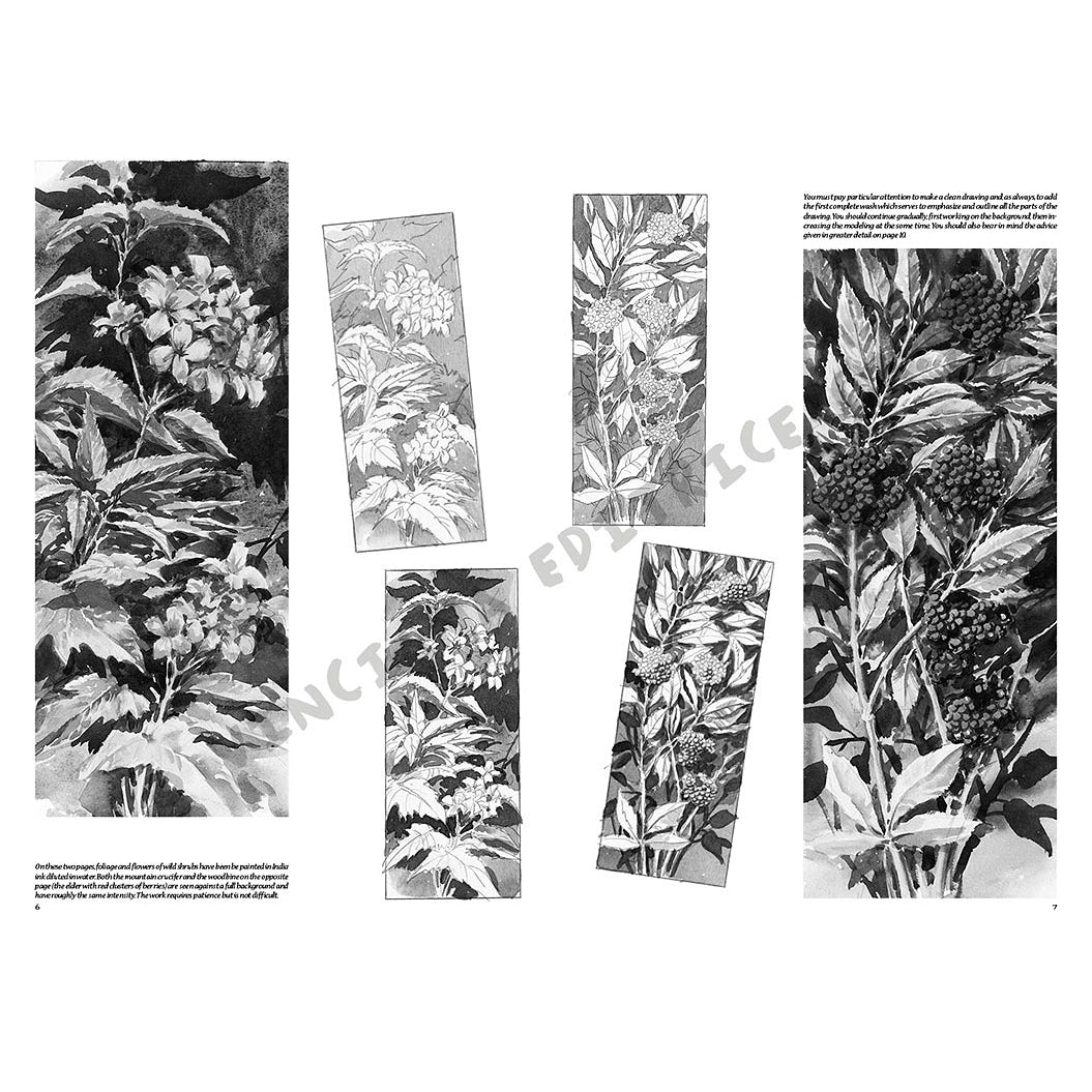 Manual Leonardo "Flowers" limba engleza vol. 20