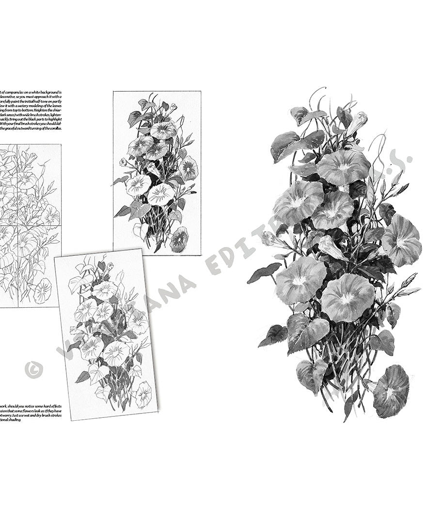 -  din categoria , excelent pentru proiecte artistice si craft, disponibil online cu livrare rapida