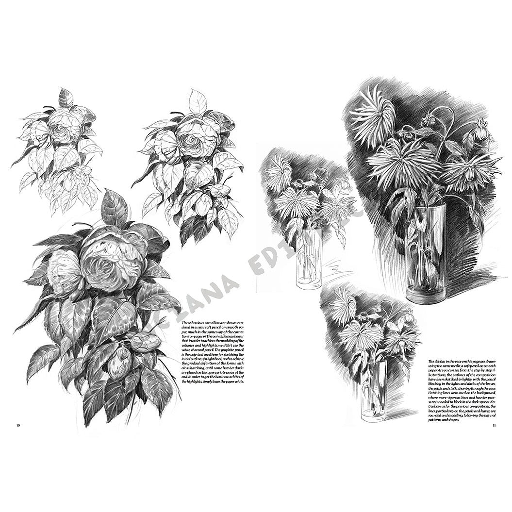 Manual Leonardo "Flowers" limba engleza vol. 22