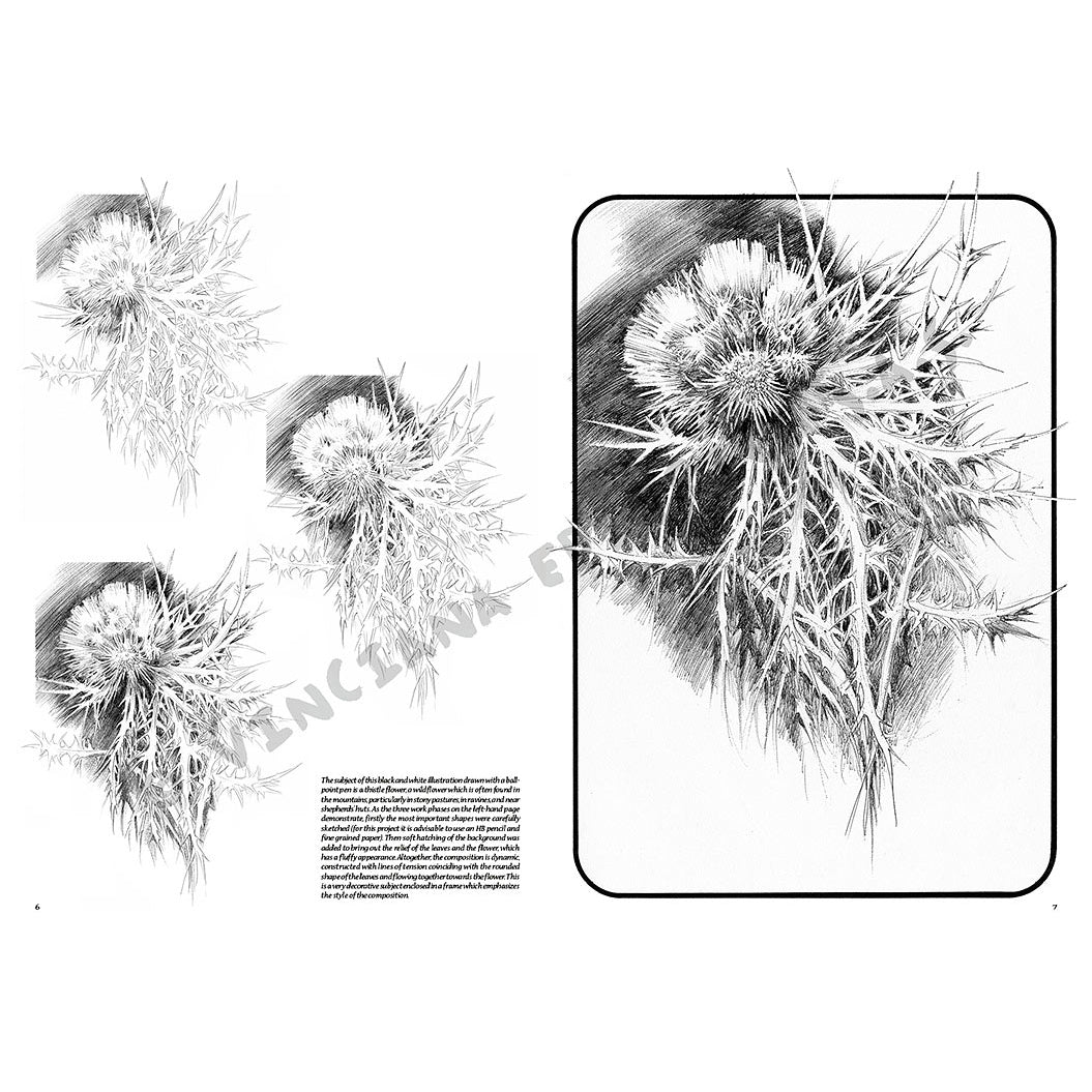 Manual Leonardo "Flowers" limba engleza vol. 23