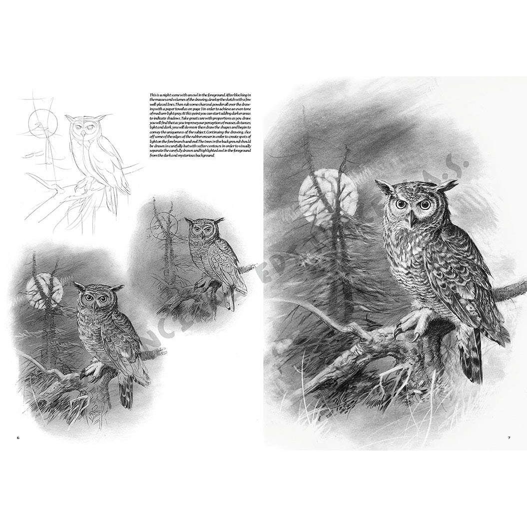 Manual Leonardo "Birds" limba engleza vol. 28