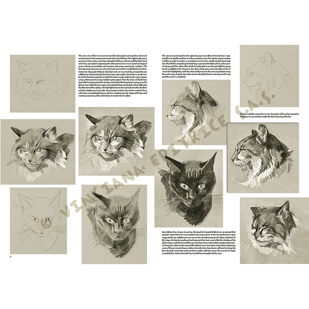 Manual Leonardo "The animals of Mathurin Méheut" limba engleza vol. 36