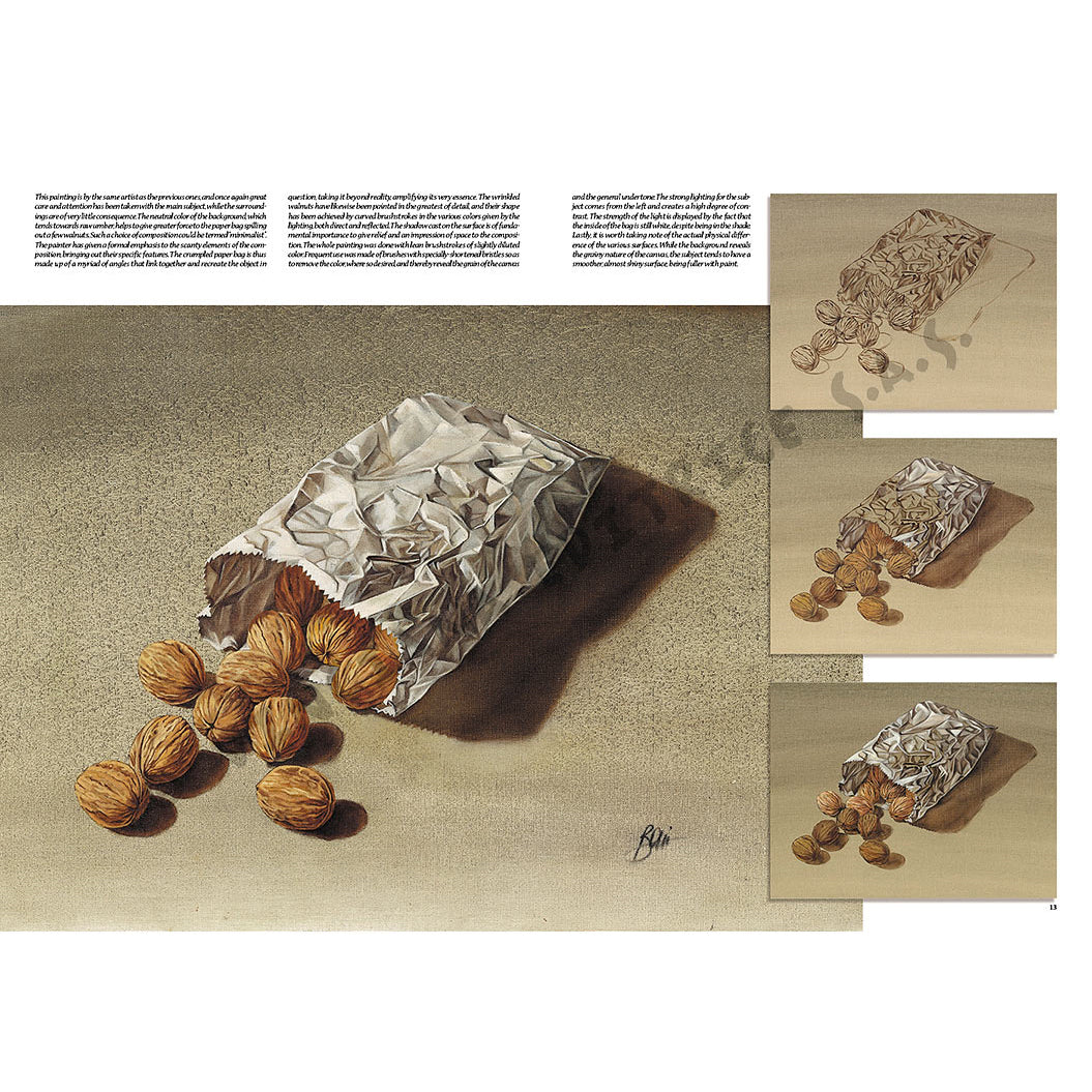 Manual Leonardo "Still Life" limba engleza vol. 41