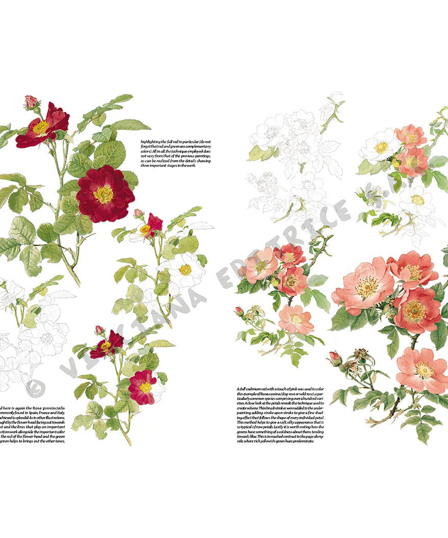 -  din categoria , excelent pentru proiecte artistice si craft, pret avantajos in magazin online