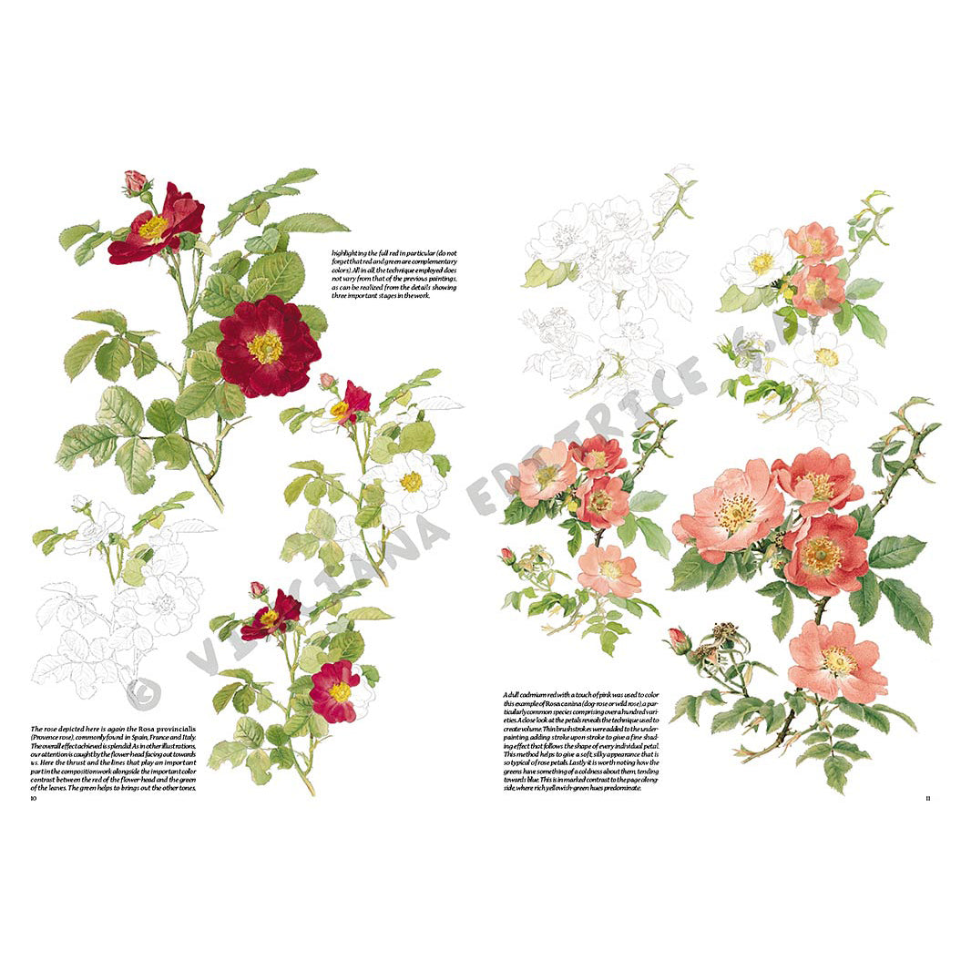 -  din categoria , excelent pentru proiecte artistice si craft, pret avantajos in magazin online