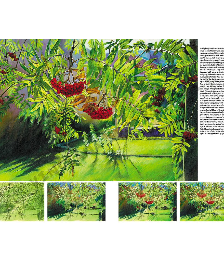 -  din categoria , potrivit pentru uz profesional si hobby, calitate premium pentru rezultate excelente