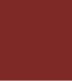 Culori acrilice Van Gogh-Raw Umber-40 ml. -  din categoria , util pentru elevi, studenti si profesori, alegere inspirata pentru papetarie moderna