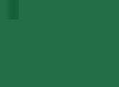 Marker acuarelabil Tombow Dual Brush -Hunter Green -  din categoria , perfect pentru birou si organizare eficienta, alegere inspirata pentru papetarie moderna