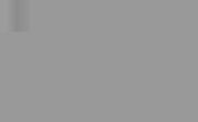 Marker acuarelabil Tombow Dual Brush - Cool Gray 5 -  din categoria , potrivit pentru uz profesional si hobby, calitate premium pentru rezultate excelente