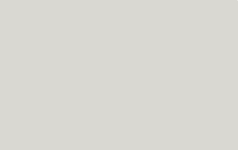 MTN Color Paint spray 400ml - Light Grey -  din categoria , excelent pentru proiecte artistice si craft, pret avantajos in magazin online