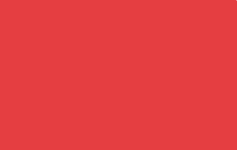 MTN Color Paint spray 400ml - Flame Red -  din categoria , potrivit pentru uz profesional si hobby, pret avantajos in magazin online