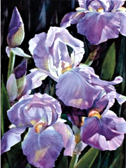 Carton panzat predesenat Rosa Gallery 30x40cm Natura Moarta n.10