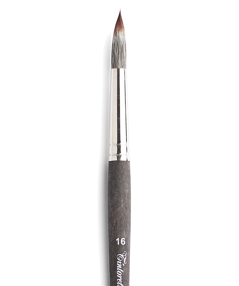 Pensule Furetto 542