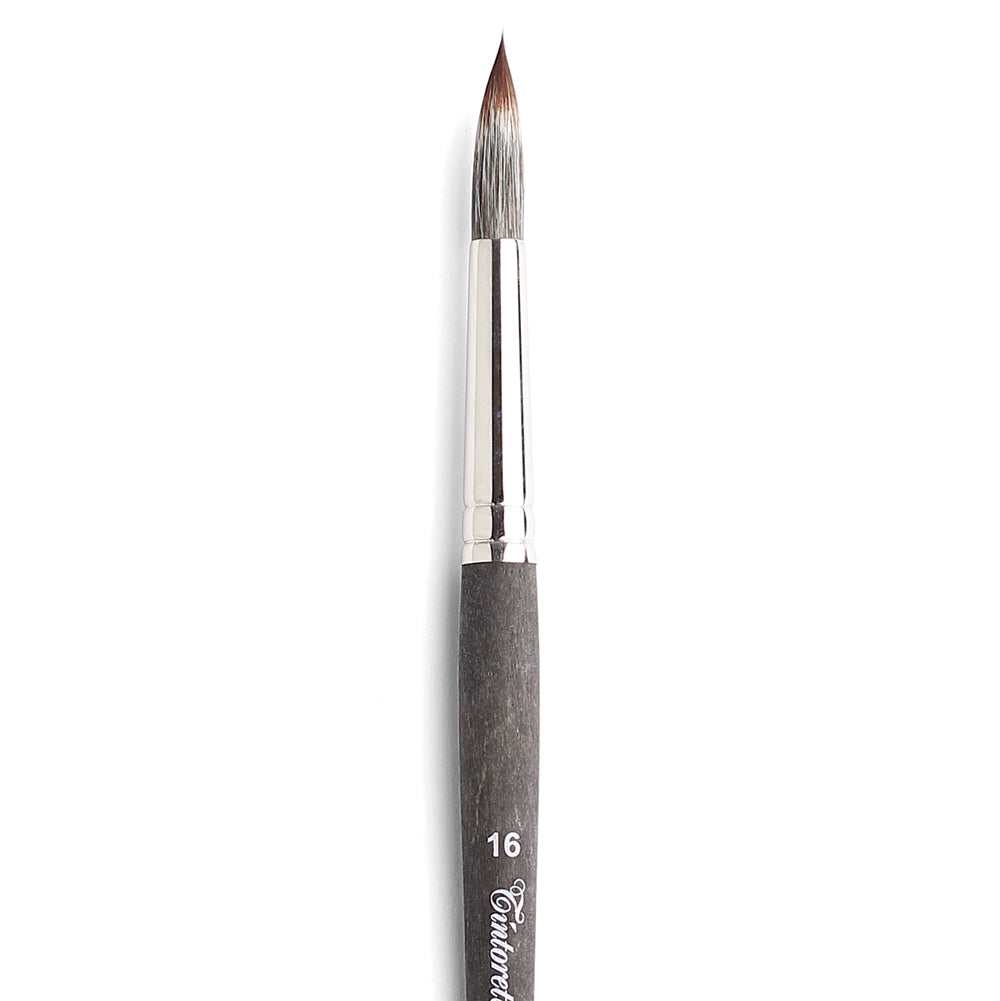 Pensule Furetto 542