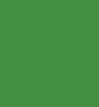 Culori acrilice Van Gogh-Permanent Green Medium-40 ml. -  din categoria , excelent pentru proiecte artistice si craft, pret avantajos in magazin online