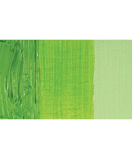 Culori ulei solubile in apa Cobra Study 40 ml - Permanent Green Deep -  din categoria , util pentru elevi, studenti si profesori, alegere inspirata pentru papetarie moderna