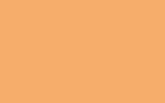 Vopsea spray pt. graffiti MTN Hardcore - Pastel Orange -  din categoria , excelent pentru proiecte artistice si craft, disponibil online cu livrare rapida