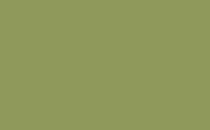 Vopsea spray pt. graffiti MTN Hardcore - Khaki Green -  din categoria , perfect pentru birou si organizare eficienta, produs original disponibil din stoc