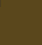 Culori acrilice Van Gogh-Burnt Umber-40 ml. -  din categoria , perfect pentru birou si organizare eficienta, pret avantajos in magazin online