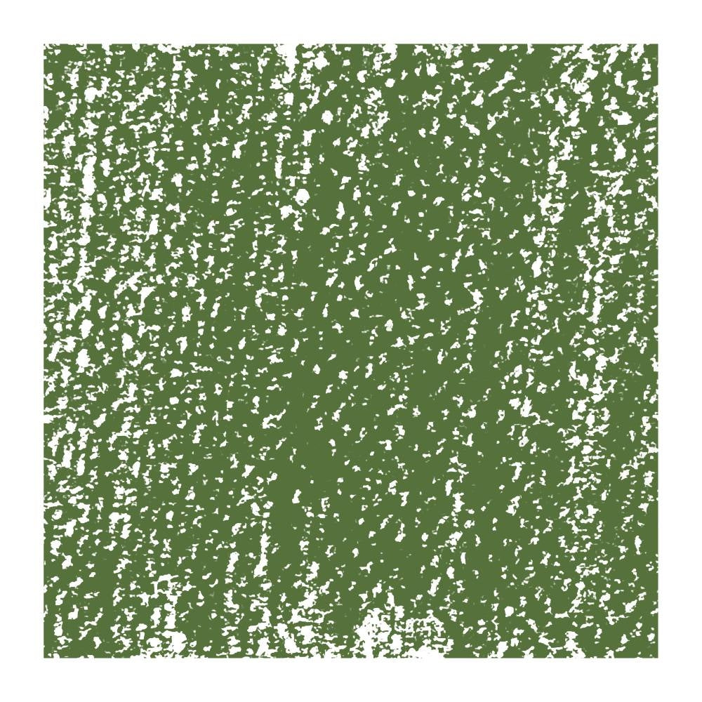 Pastel uscat Van Gogh Soft Pastels - Cinnabar green light 10 -  din categoria , perfect pentru birou si organizare eficienta, pret avantajos in magazin online