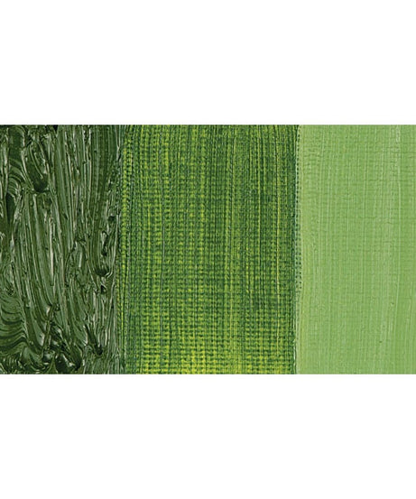 Culori ulei solubile in apa Cobra Study 40 ml - Olive Green -  din categoria , recomandat pentru desen si activitati creative, alegere inspirata pentru papetarie moderna