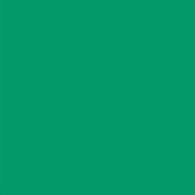 087 ANACONDA GREEN -  din categoria , recomandat pentru desen si activitati creative, pret avantajos in magazin online