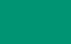 Vopsea spray pt. graffiti MTN Hardcore - Dark Green -  din categoria , excelent pentru proiecte artistice si craft, calitate premium pentru rezultate excelente