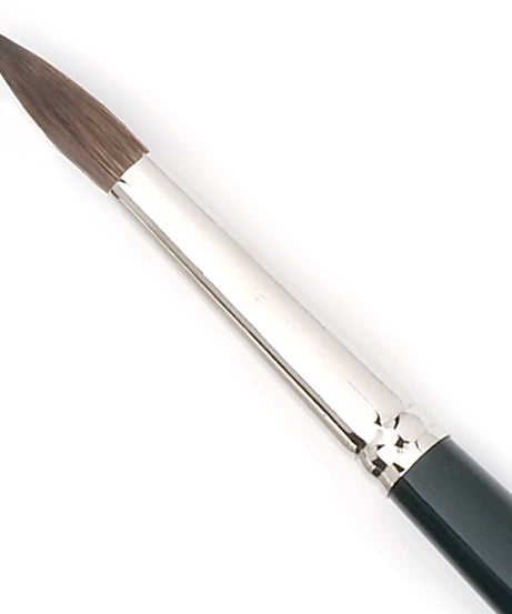 Pensule par veverita  Tintoretto 100