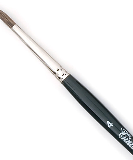 Pensule par veverita  Tintoretto 100